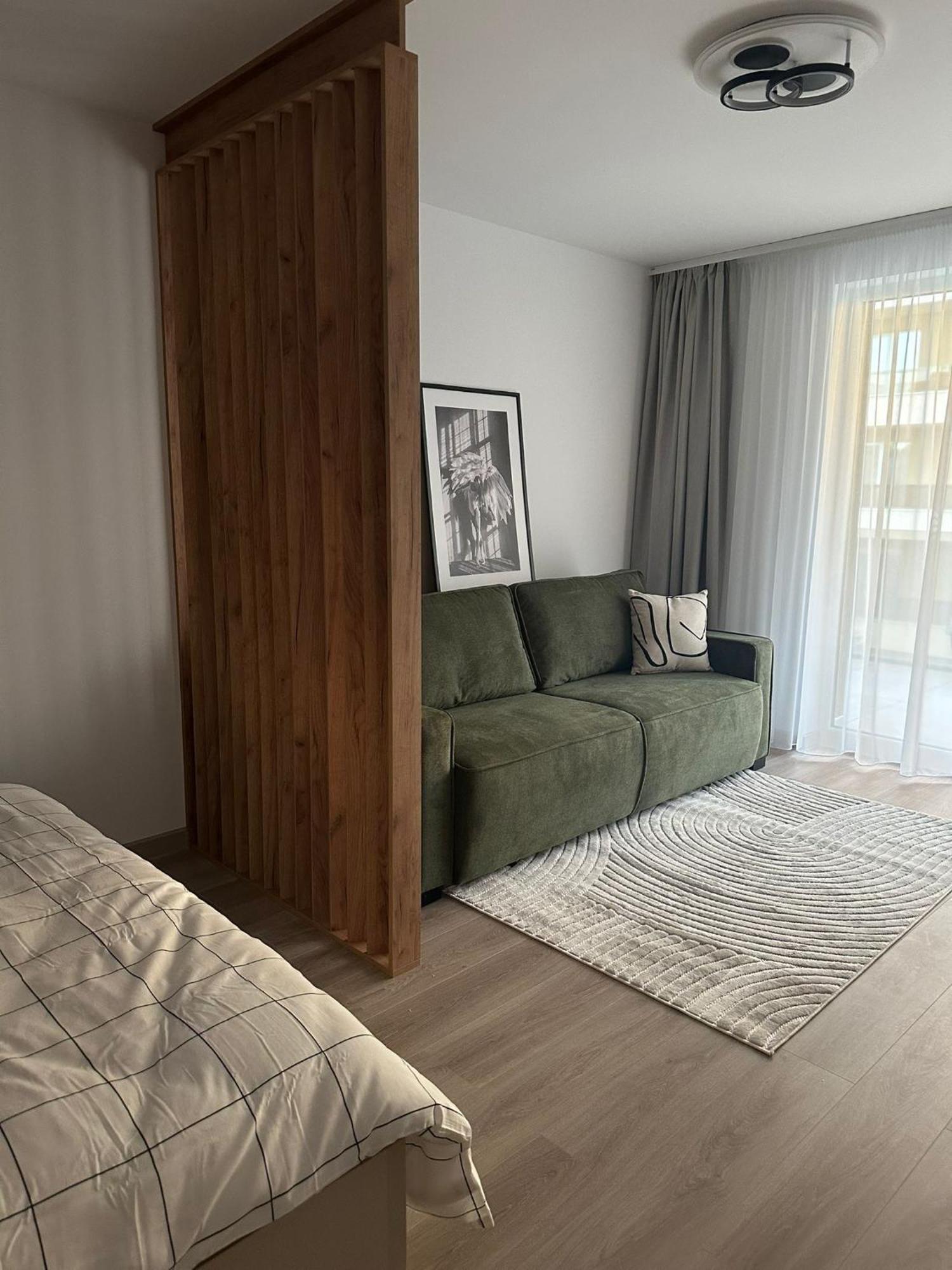 Carpathian Studio Braşov Dış mekan fotoğraf